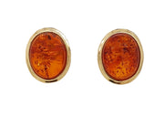 14CT Yellow Gold Baltic Amber Stud Earrings